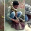 Hindistonlik ilon avrovchini bo‘g‘ma ilon o‘ldirib qo‘yayozdi (video)
