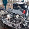 «Isuzu» va «Neksiya» to‘qnashuvi natijasida ikki kishi halok bo‘ldi