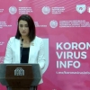Занжабил коронавирус инфекциясида монотерапия сифатида ёрдам бермайди