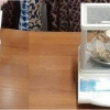 1 kilogrammdan ortiq zargarlik buyumlarining noqonuniy aylanmasiga chek qo‘yildi