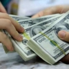 Фирибгарлик йўли билан 100 000 АҚШ долларни олаётган шахс қўлга олинди