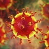 Epidemiolog koronavirusning yashirin quroli haqida to‘xtalib o‘tdi