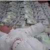 Andijonda 23 kunlik chaqaloqni 4500 dollar va 4 mln so‘mga sotayotgan ona qo‘lga olindi (video)