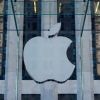 Apple тезкор янгиликларни етказувчи янги Apple News сервисини ишга туширади