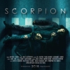 "Scorpion" filmiga qancha pul ketgani ma’lum qilindi