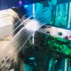 Москвадаги савдо марказида ҳажми 1 млн литрли аквариум дарз кетди