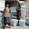 Afg‘onistonda saylov komissiyasi a’zolari o‘g‘irlab ketildi