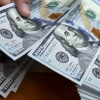 Toshkentda fuqaroni 540 ming AQSH dollariga chuv tushirgan 2 shaxs qoʻlga olindi