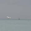 Tu-154 halokatga uchragan joydan 5 kishining jasadi topildi