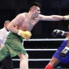 "Uzbek Tigers" кейинги босқичга чиқа оладими?