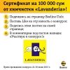 Beeline Club va Lavanderia kimyoviy tozalash korxonasi Facebook tarmog‘ida yangi tanlov e’lon qildilar