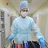 Yana besh hududda 240 kishida koronavirus aniqlandi