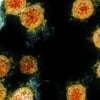 Коронавируснинг осон тарқалишига имконият яратувчи иқлим шароити маълум қилинди