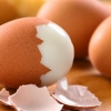 Tuxumning qay biri foydali: oqimi yoki jigarrangi?
