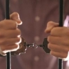 Гиёҳванд моддасини уйида сақлаган бир гуруҳ тошкентлик қўлга олинди