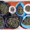 1 kilogrammdan ziyod “marixuana” savdosiga chek qo‘yildi