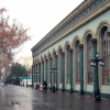 Ўзбекистонда қиш нега деярли қорсиз ўтмоқда?
