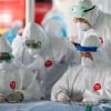 Odamda uchraydigan koronaviruslar mavsumiy xarakterga ega