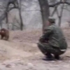 Sariosiyo tumanidagi xonadonlardan birida ayiq bolasi boqilgan (video)