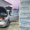 100 ming dollarni yashirincha olib chiqishga boʻlgan urinish fosh etildi