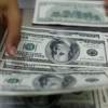Urgutda qalbaki AQSh dollarini sotayotganlar ushlandi