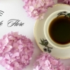 Cafe de Fleur kafesida Beeline Wi-Fi xizmati ishga tushirildi
