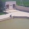 Buxoroda Milliy gvardiya zobiti 8 yoshli cho‘kayotgan bolani qutqarib qoldi