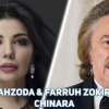 Фаррух Зокиров ва Шаҳзода: «Чинара» клипи премьераси