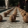 Kung-fu ustasi qo‘llari bilan yong‘oq chaqish bo‘yicha yangi jahon rekordini o‘rnatdi (Video)