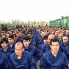 Хитойдаги Apple, Nike, Volkswagen каби таниқли брендлар фабрикаларида уйғурлар мажбурий ишлатилаётгани фош этилди
