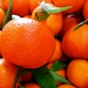 Mandarinlar nimasi bilan xavfli: kutilmagan ma’lumot