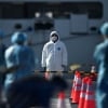 Olimlar koronavirus pandemiyasi «aybdorlari»ni ma’lum qildi