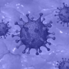 Koronavirus xavfli shaklining kelib chiqish sababi fosh etildi