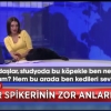 Jonli efir vaqtida studiyaga it kirib keldi (video)