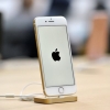 OAV: Apple iyun oyidan Hindistonda iPhone ishlab chiqarishni yo‘lga qo‘yadi
