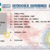 Эски намунадаги миллий ҳайдовчилик гувоҳномалари 2021 йил 1 январгача амал қилади
