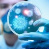 "Koronavirus mutatsiyaga uchrashi natijasida kasallik o‘ta og‘ir kechishi va boshqa a’zolarni ham jarohatlashi mumkin"