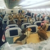 Saudiya shahzodasi 80 nafar lochinga samolyot chiptasini sotib oldi (Video)