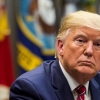 Трамп ноқонуний муҳожирлар кейинги ҳафта оммавий депортация қилинишини айтди
