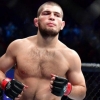 Habib Nurmagomedov ayiq bilan kurash tushdi (video)