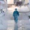 Koronavirus qaysi mamlakatlarga yetib bormadi?