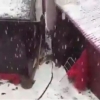 Sochida birinchi qor yog‘di (video)