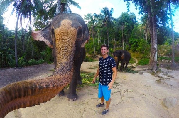 Tailandda fil sayyohning kamerasini tortib oldi va selfiga tushdi