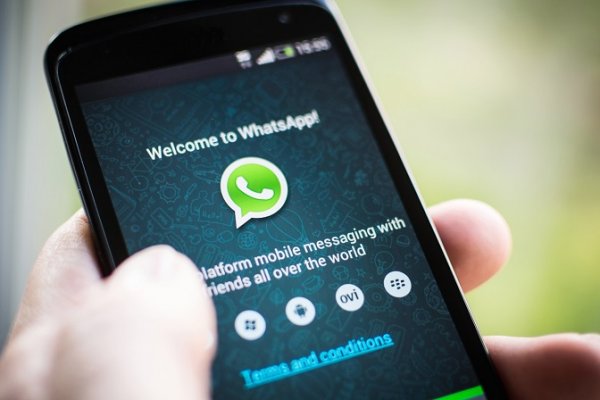 WhatsApp мессенжер орқали онлайн-трансляция технологиясини синовдан ўтказмоқда