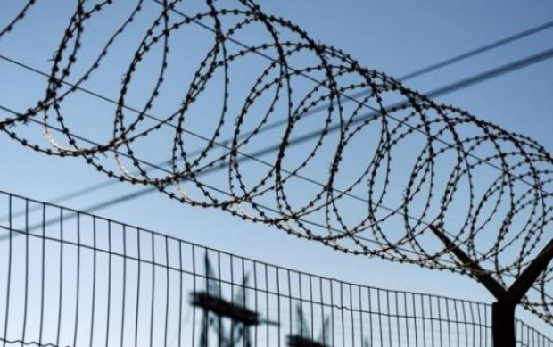 Зангиота туманида амнистия актига мувофиқ ўн нафардан зиёд маҳбус озодликка чиқарилди