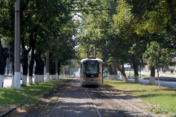 Samarqandda tramvay qatnovi yo‘lga qo‘yiladi