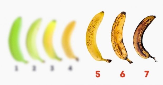 Бананнинг биз билмаган 10 фойдали хусусияти