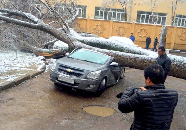 Toshkentdagi noqulay ob-havo Cobalt`ni Cabriolet`ga aylantirdi (Foto)