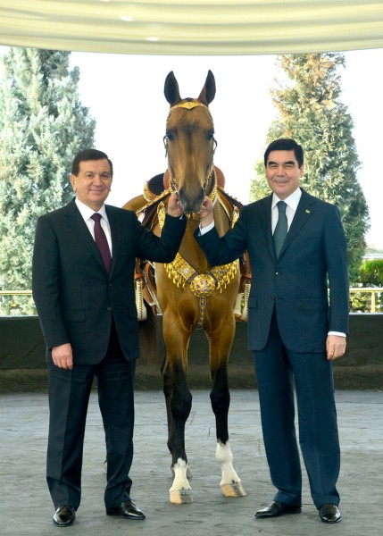 Turkmaniston prezidenti Shavkat Mirziyoyevga zotdor ot sovg‘a qildi (Foto)