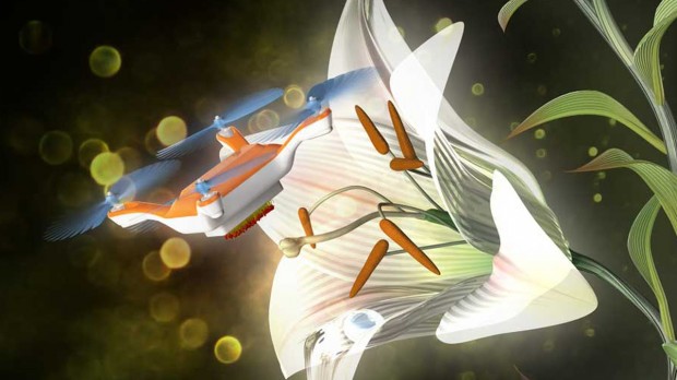 Yaponiyalik olimlar gulni mitti dron yordamida changlata olishdi
